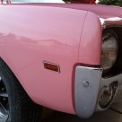 Playmate of the Year AMX returns to its original pink